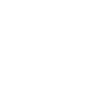 Kats Tree Service