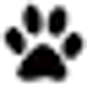 Kerber Dog Training - Logo