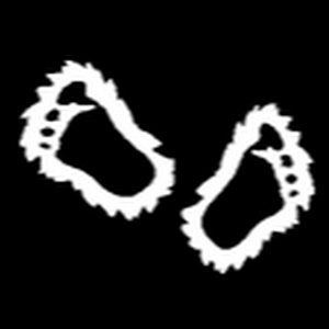Bigfoot Trailers LLC - Logo