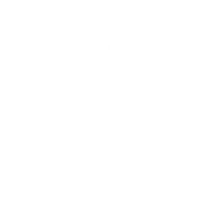 Northwest Town Car
