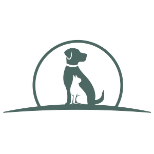 American Pet Hospital