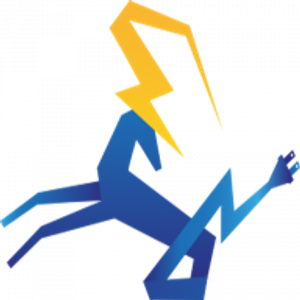 Capricorn Electric
