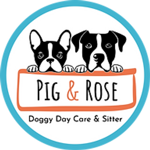 Pig and Rose Doggy Daycare and Boarding - Logo