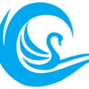 Swansboro Dance Studio - Logo