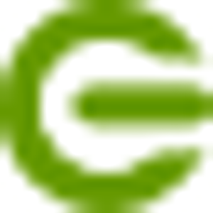 Buyers Agent - Logo