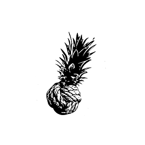 Newport Boat Ride - Logo