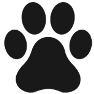 Dirty Dogs - Logo