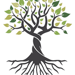 Amanda Towne, Transformation Coach and RTT Practitioner