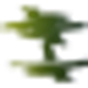 Clipper's Tree Service - Tree service in Austin