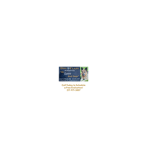 Dog Class Pro Dog Training - Logo