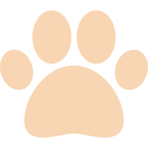 Rory's Dog Training - Dog trainer in Richmond Hill
