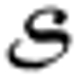 Savarese Septic Service Inc. - Logo