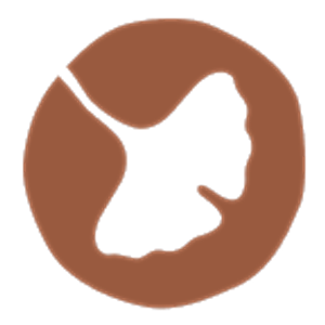 Vero Wellness & Aesthetics - Logo