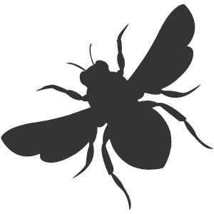 Poppy & Hive Photography