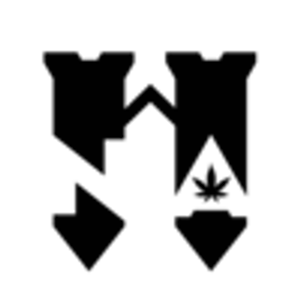 Natural Alternatives for Health - Logo