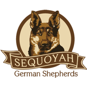 Sequoyah German Shepherds