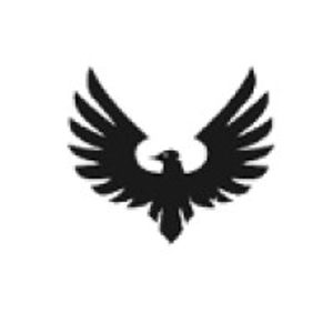 Falcon Production - Logo