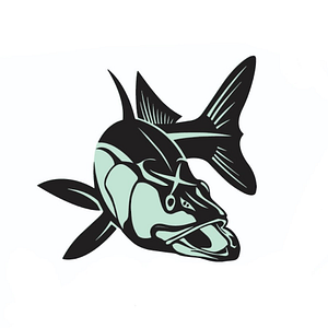 X-Head Fishing Charters - Logo