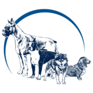 Focus Dog Training - Obedience Dog Training