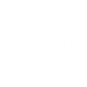 American Property Management