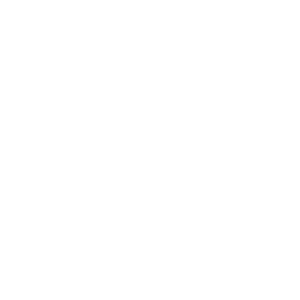 The Sights and Sounds Company - Logo