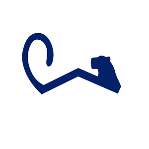 Apex Recovery Massage - Logo