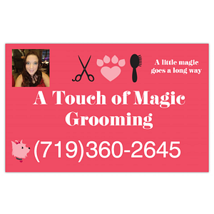 A Touch of Magic Grooming