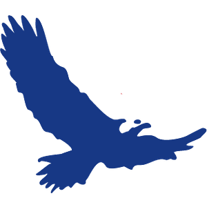 Eagle Automotive and Transmission - Logo