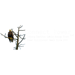 Connect Power - Dock & Residential Electrical Services - Logo