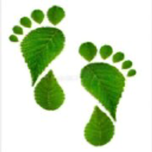 Remedy Professional Foot Care PLLC
