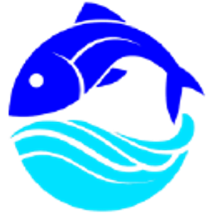 Bay Reef Fishing Charters - Logo