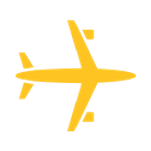 Top Gun Aviation
