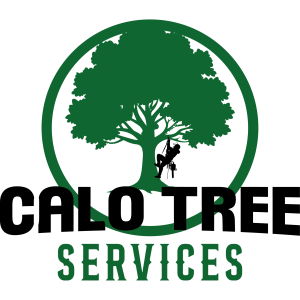 Calo Tree - Logo