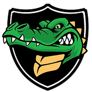 Gutter Gator