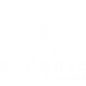 Andante Vineyard