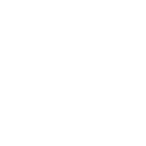Privé Aesthetics - Logo