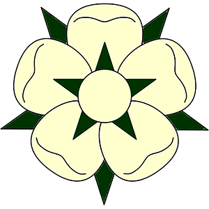 Varina Landscaping