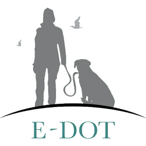 E-DOT LLC - Logo