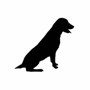 Coyote Creek Retrievers | Training • Breeding • Boarding - Logo
