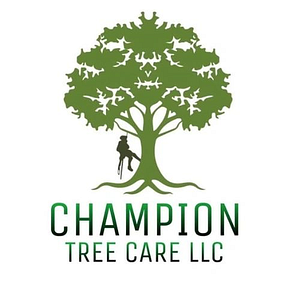 CHAMPION TREE CARE LLC - Logo