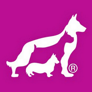 Canine Training Systems - Video production service in Columbia
