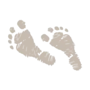 Barefoot Amelia Beach Rentals - Logo