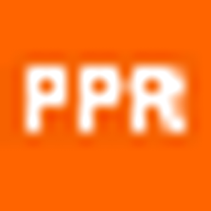 PPR - Real Estate Investment Services - Logo