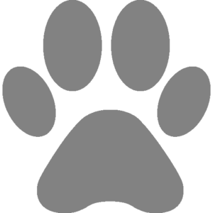 Pet Pal Veterinary Clinic - Veterinarian in St. Petersburg
