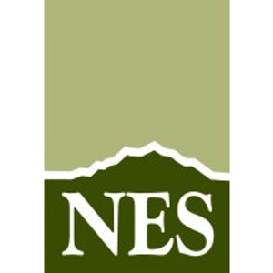 NES - Logo