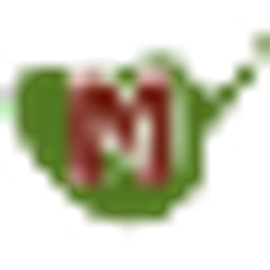 Miguel's