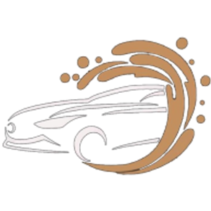 Matthew's Car Wash - Logo