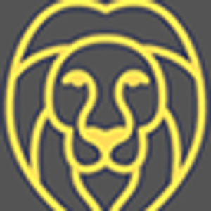 Lion's H.O.P.E. Martial Arts Studio