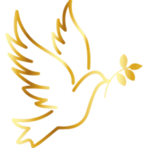 Valley Memorial - Logo