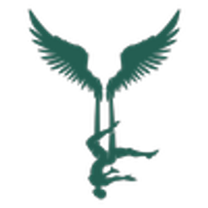 Valkyrie Fitness